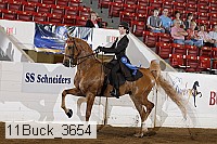 11buck_3654 proof