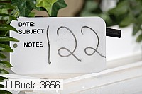 11buck_3656 proof