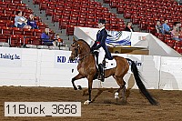 11buck_3658 proof