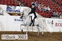11buck_3663 proof