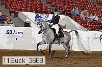11buck_3668 proof