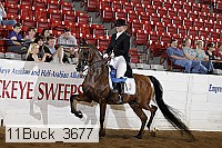 11buck_3677 proof