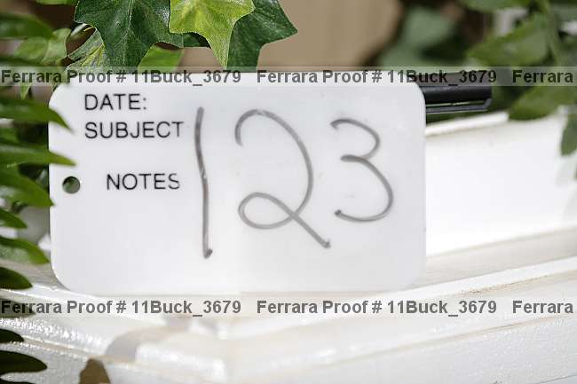 Proof 11buck_3679