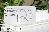 11buck_3679 proof
