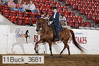 11buck_3681 proof