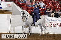 11buck_3683 proof