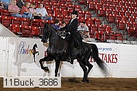 11buck_3686 proof
