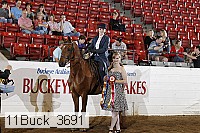 11buck_3691 proof