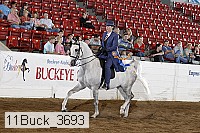 11buck_3693 proof