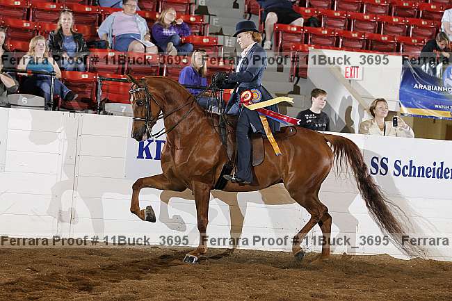 Proof 11buck_3695