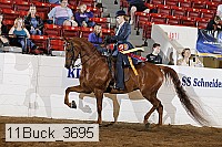 11buck_3695 proof