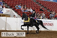11buck_3697 proof