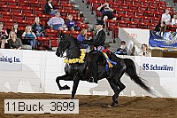 11buck_3699 proof