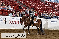 11buck_3706 proof