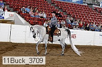 11buck_3709 proof