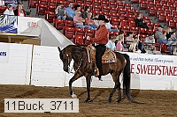 11buck_3711 proof