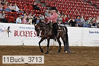 11buck_3713 proof