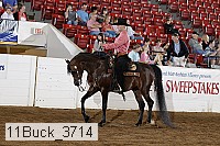 11buck_3714 proof