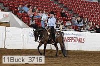 11buck_3716 proof