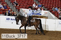 11buck_3717 proof