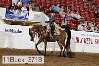 11buck_3718 proof