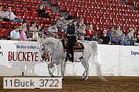 11buck_3722 proof