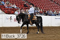 11buck_3726 proof