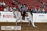 11buck_3727 proof