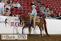 11buck_3750 proof