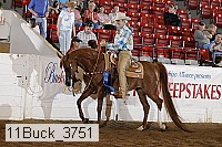 11buck_3751 proof
