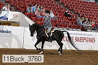 11buck_3760 proof