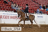 11buck_3764 proof