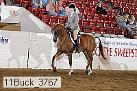 11buck_3767 proof