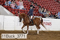 11buck_3771 proof