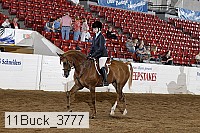 11buck_3777 proof