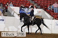 11buck_3786 proof
