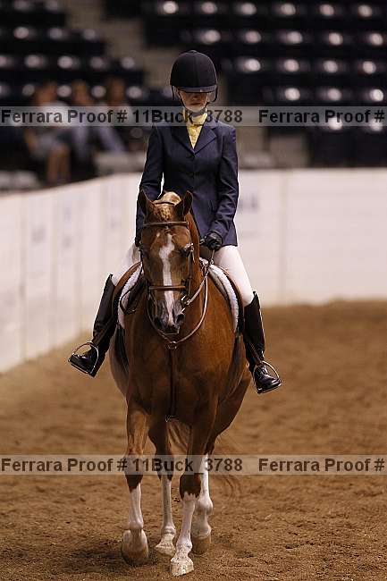 Proof 11buck_3788