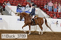 11buck_3789 proof