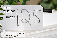 11buck_3797 proof