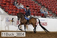 11buck_3804 proof