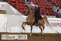 11buck_3813 proof