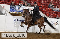 11buck_3816 proof