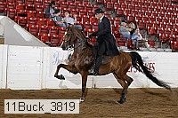 11buck_3819 proof