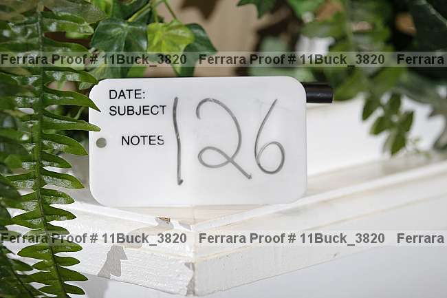 Proof 11buck_3820