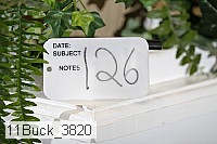 11buck_3820 proof