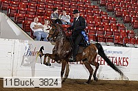 11buck_3824 proof