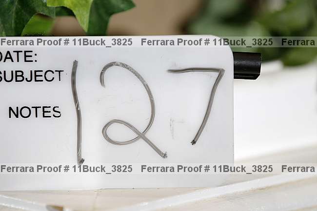 Proof 11buck_3825
