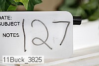 11buck_3825 proof