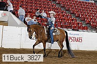 11buck_3827 proof