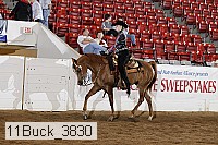 11buck_3830 proof